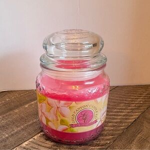 Gold Canyon 2-Wick Scented Jar Candle Plumeria 16 oz Pink